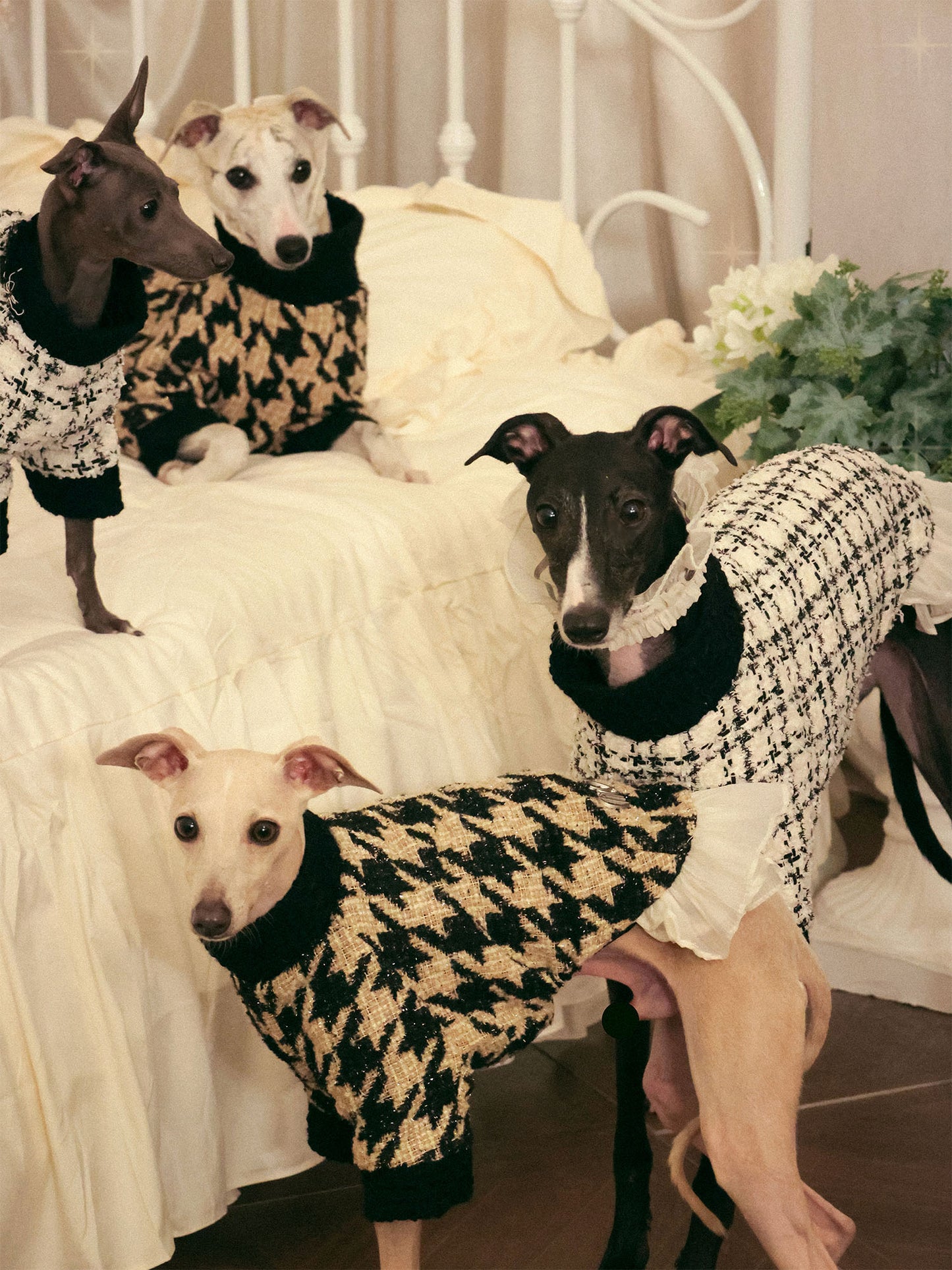「Muse」Tweed Ruffle Set