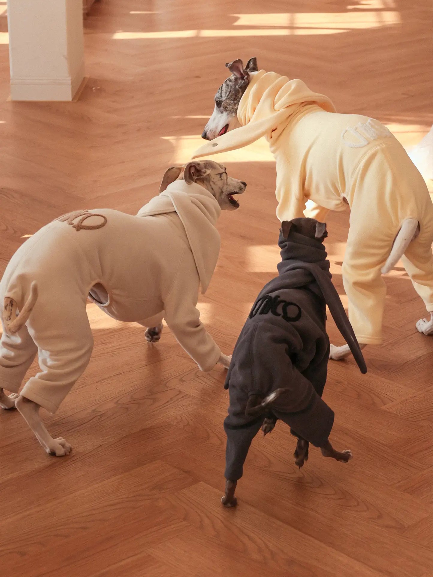 「Cozy」Four-legged Suit