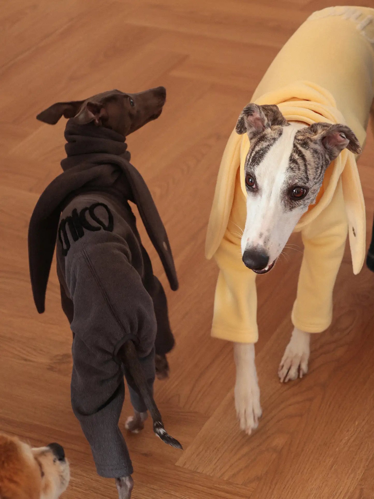 「Cozy」Four-legged Suit