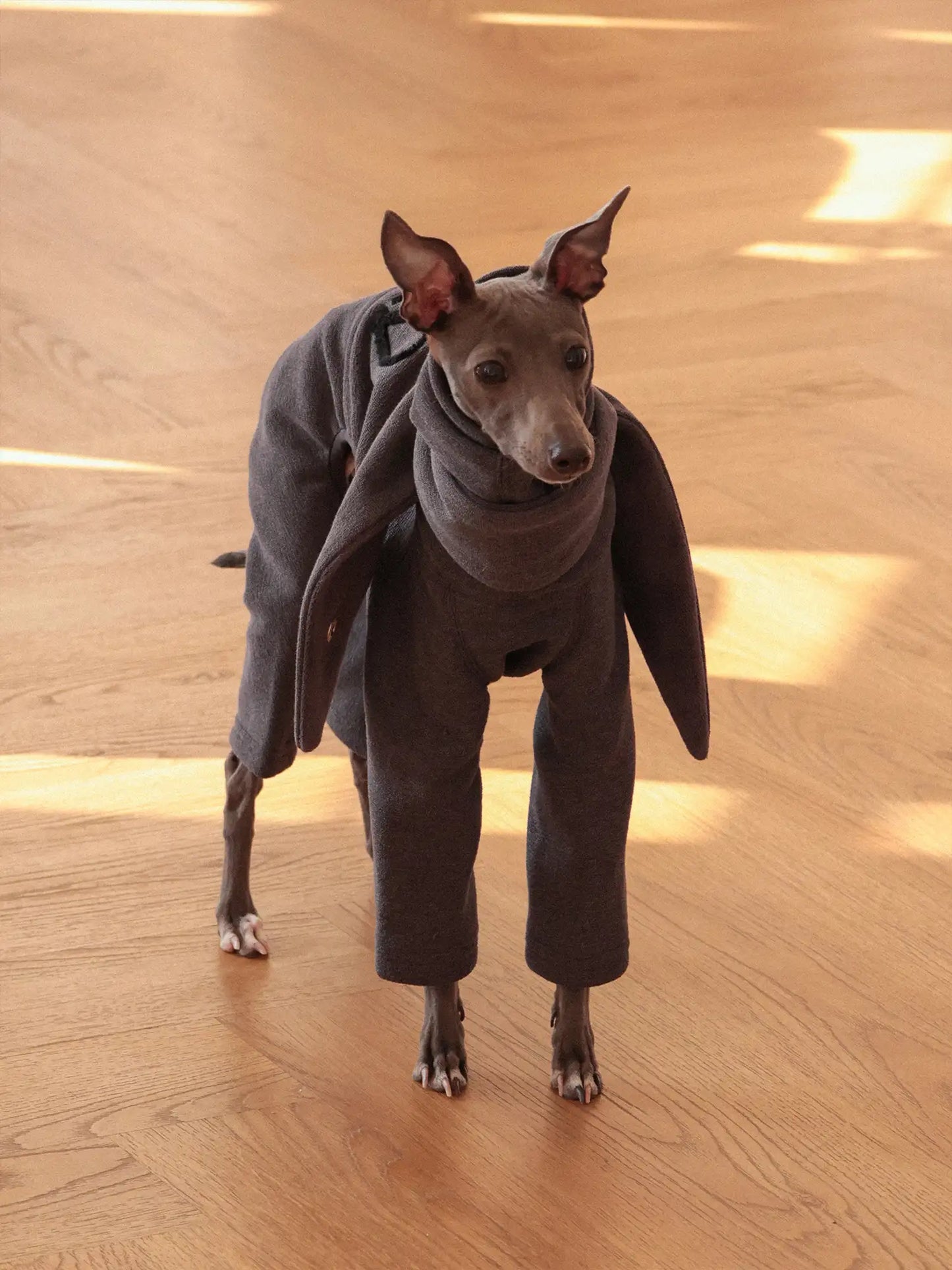 「Cozy」Four-legged Suit
