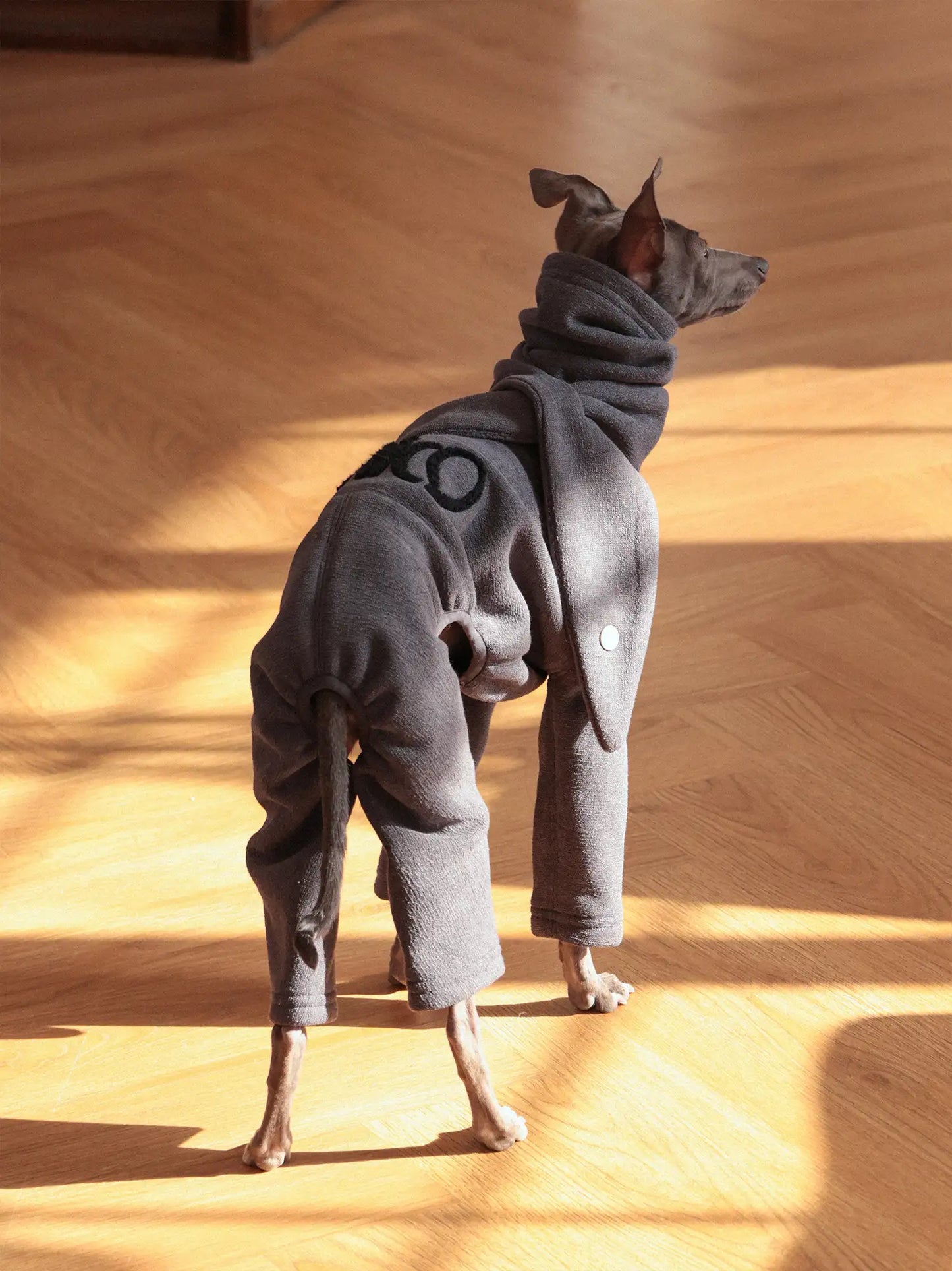 「Cozy」Four-legged Suit