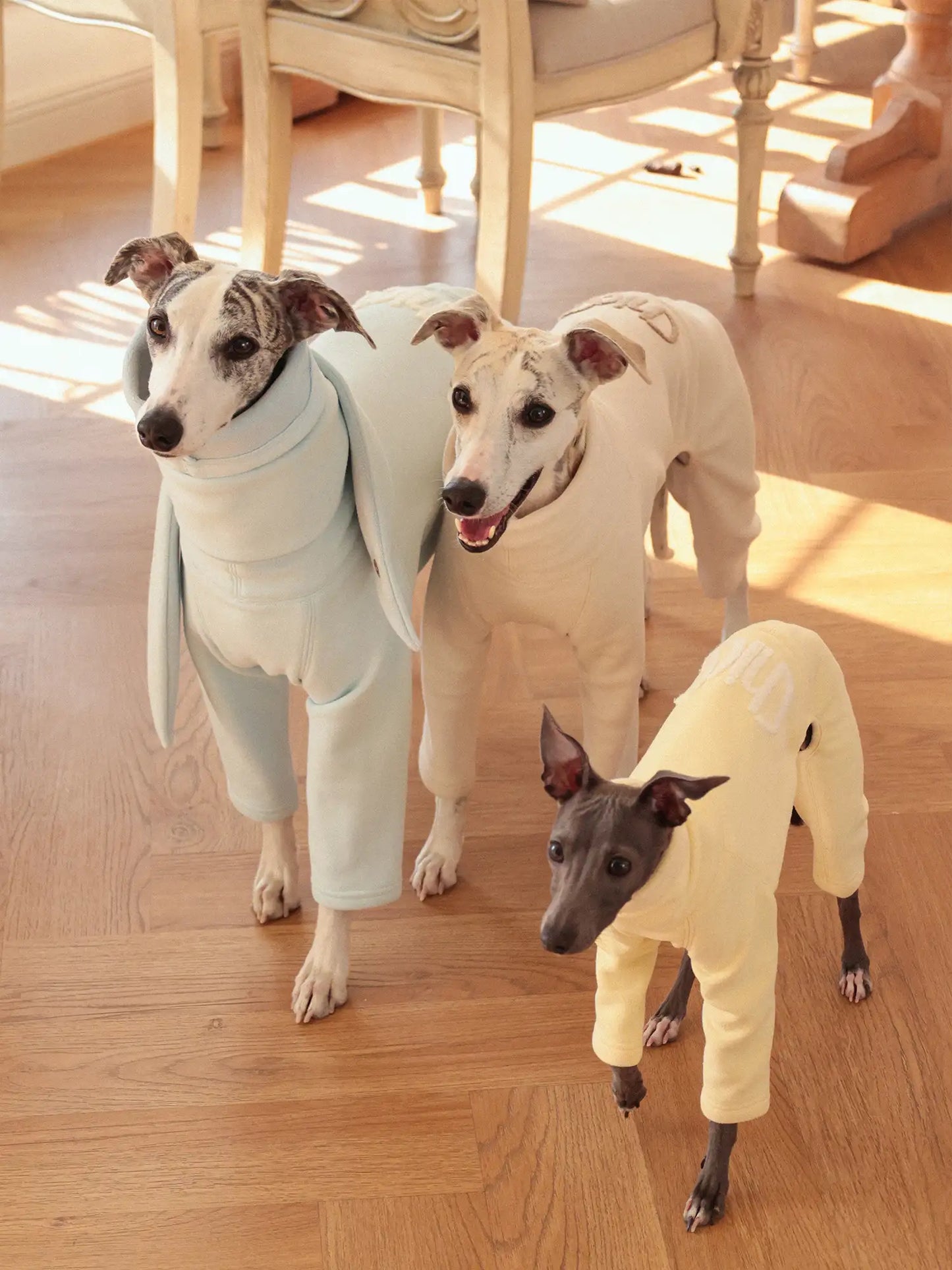「Cozy」Four-legged Suit