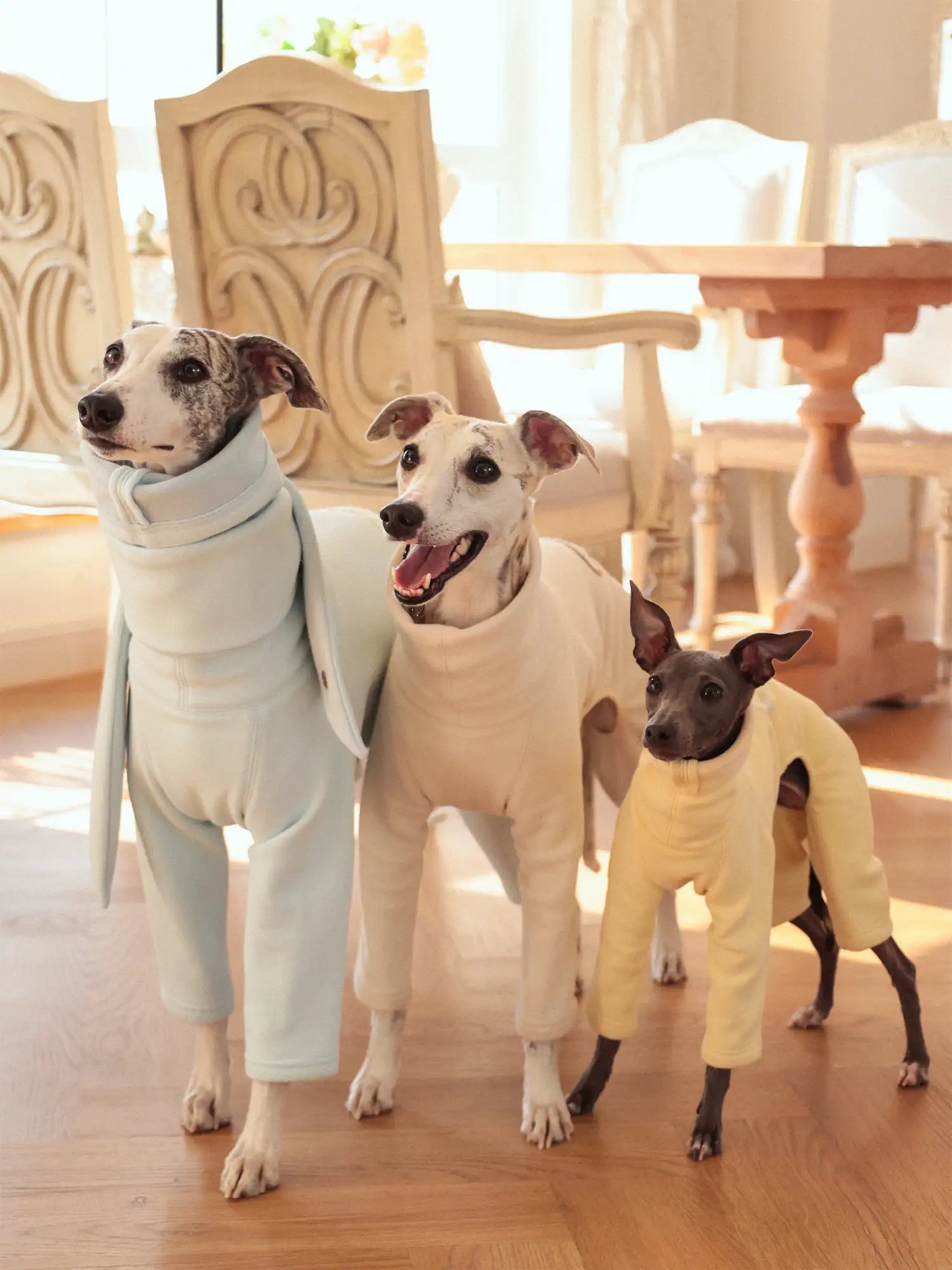 「Cozy」Four-legged Suit