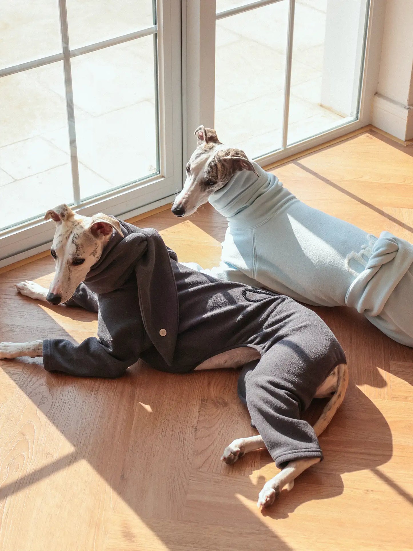 「Cozy」Four-legged Suit