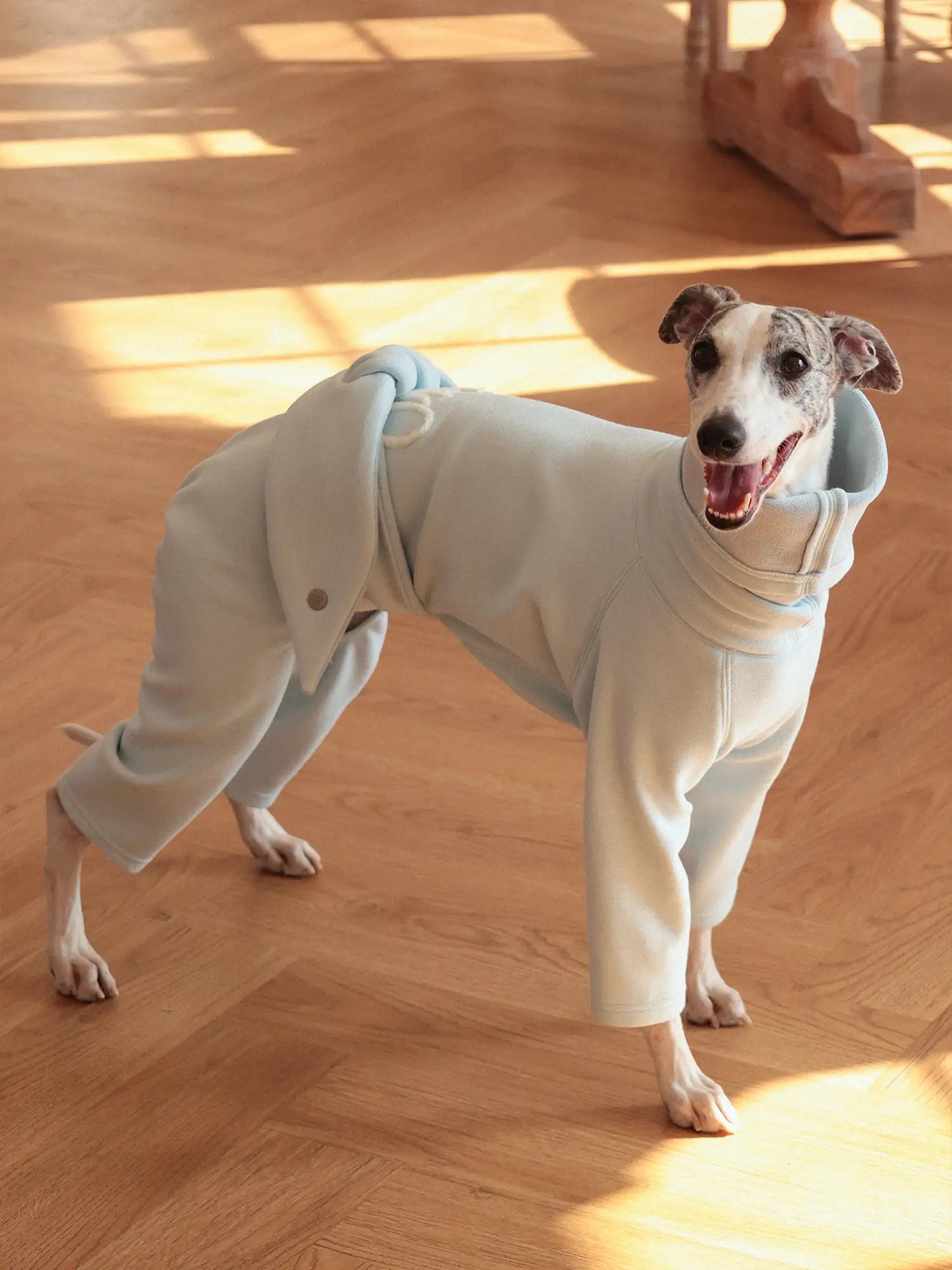 「Cozy」Four-legged Suit