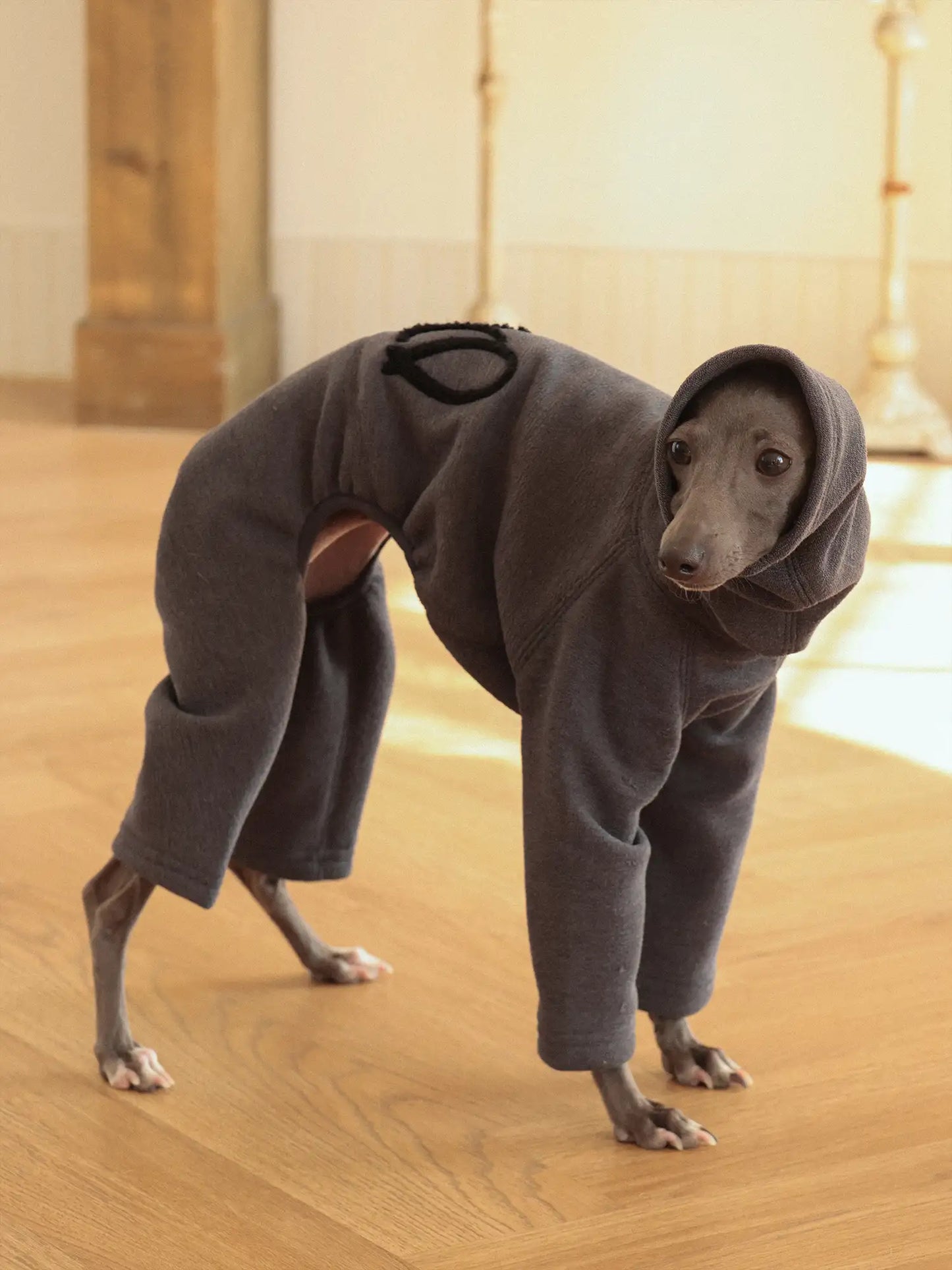 「Cozy」Four-legged Suit