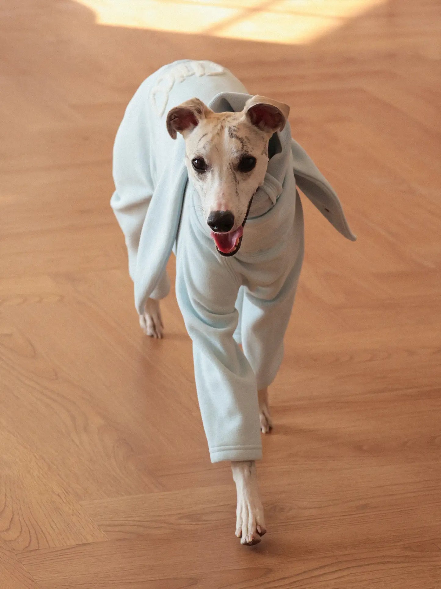 「Cozy」Four-legged Suit